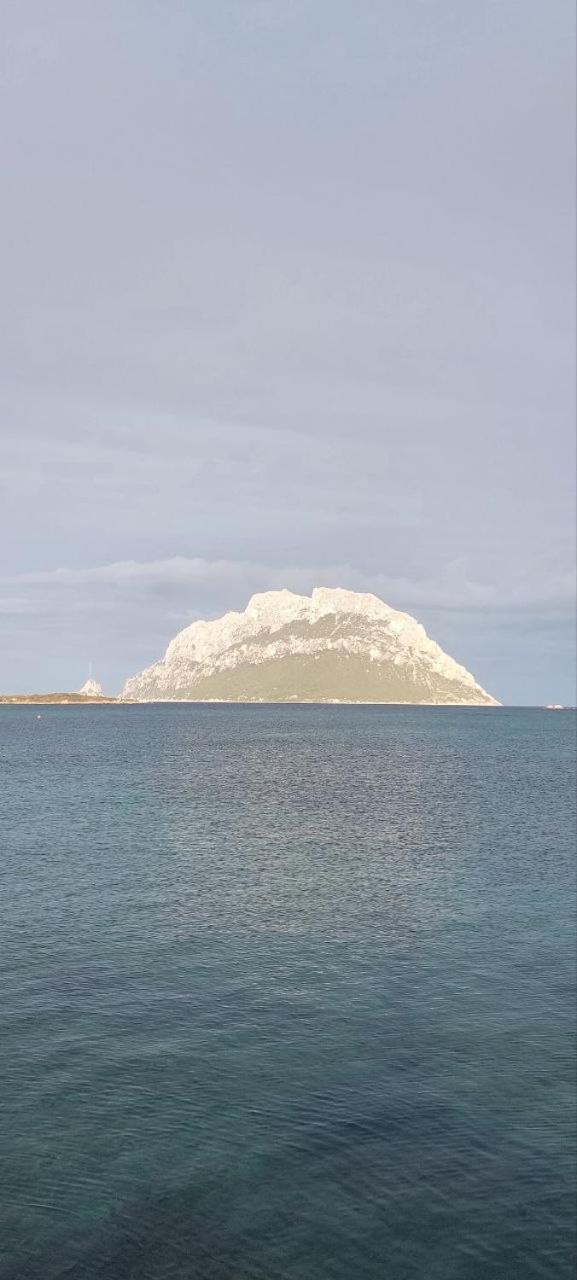 Porto San Paolo A 50 Mt Dal Mare 빌라 객실 사진
