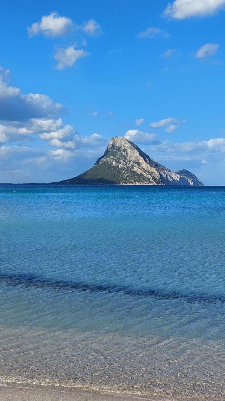 Porto San Paolo A 50 Mt Dal Mare 빌라 객실 사진