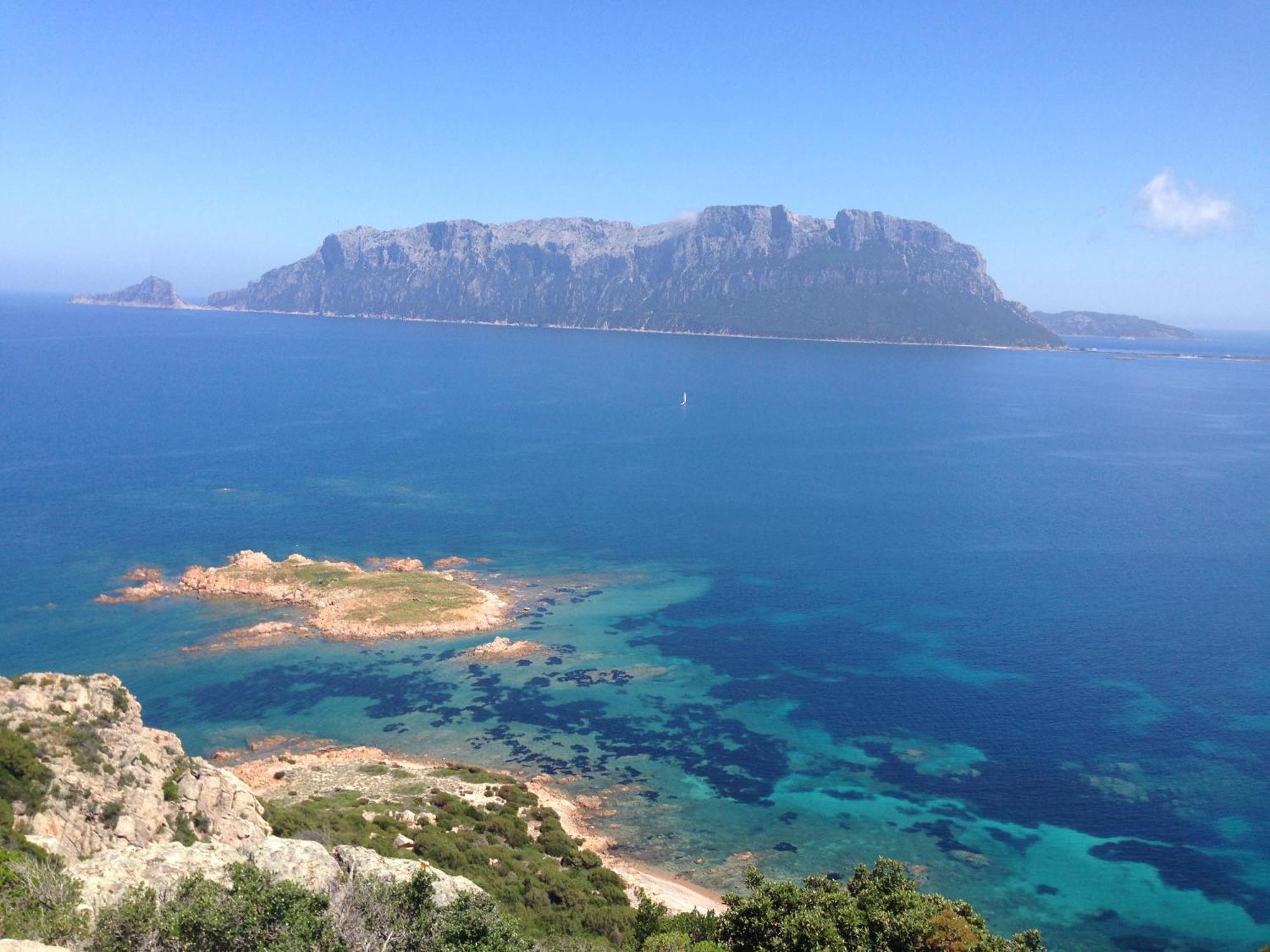 Porto San Paolo A 50 Mt Dal Mare 빌라 객실 사진